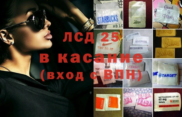 ГАЛЛЮЦИНОГЕННЫЕ ГРИБЫ Абаза