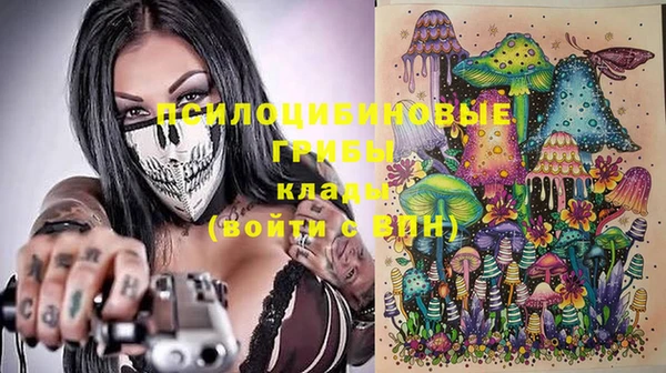 твердый Магадан